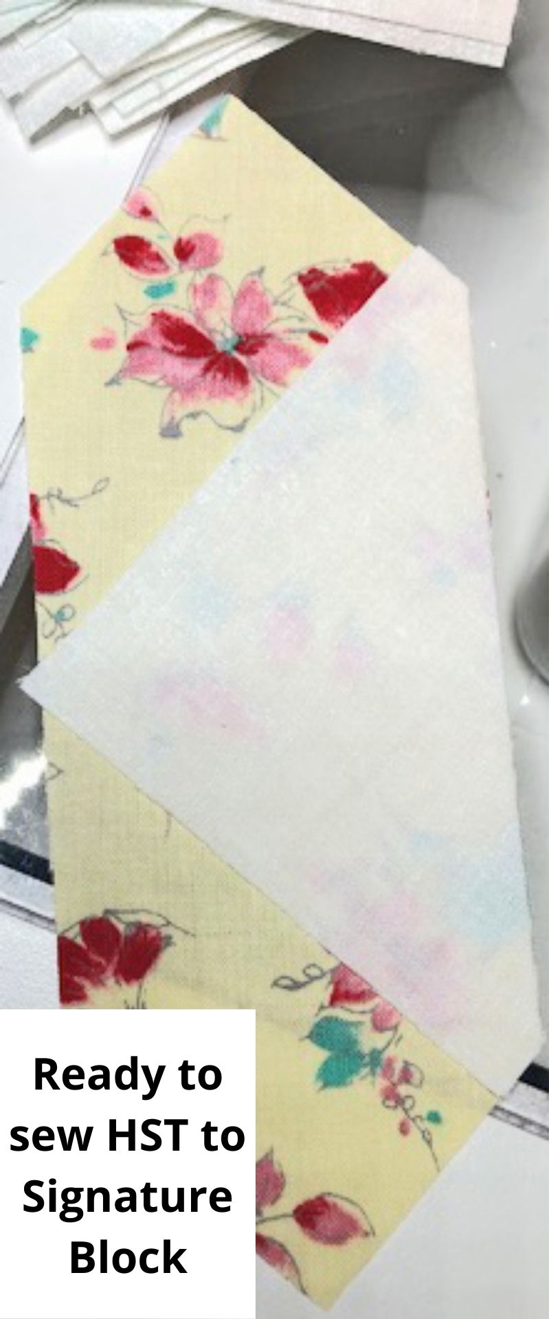Signature Blocks – Cat's Cuts
