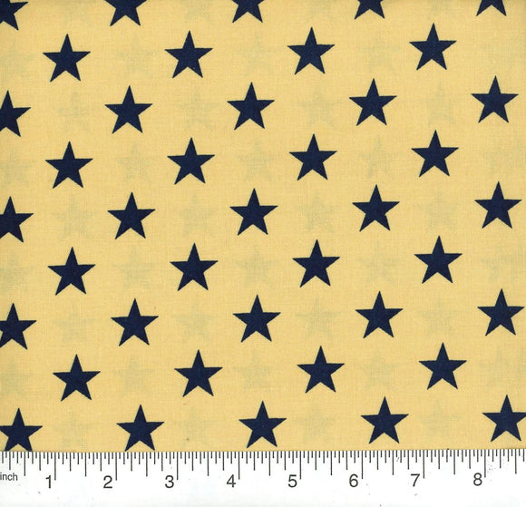 Patriotic #33 Wide Quilt Backing Fabric 108