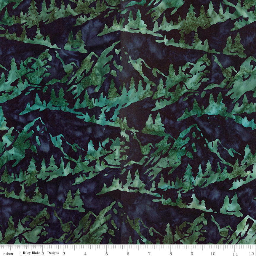 Expressions Batiks Places You'll Go by Riley Blake Designs, SKU BT23218-328