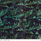 Expressions Batiks Places You'll Go by Riley Blake Designs, SKU BT23218-328