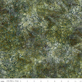 Expressions Batiks Plant-Based by Sew Yeah for Riley Blake Designs, SKU BT23321-322