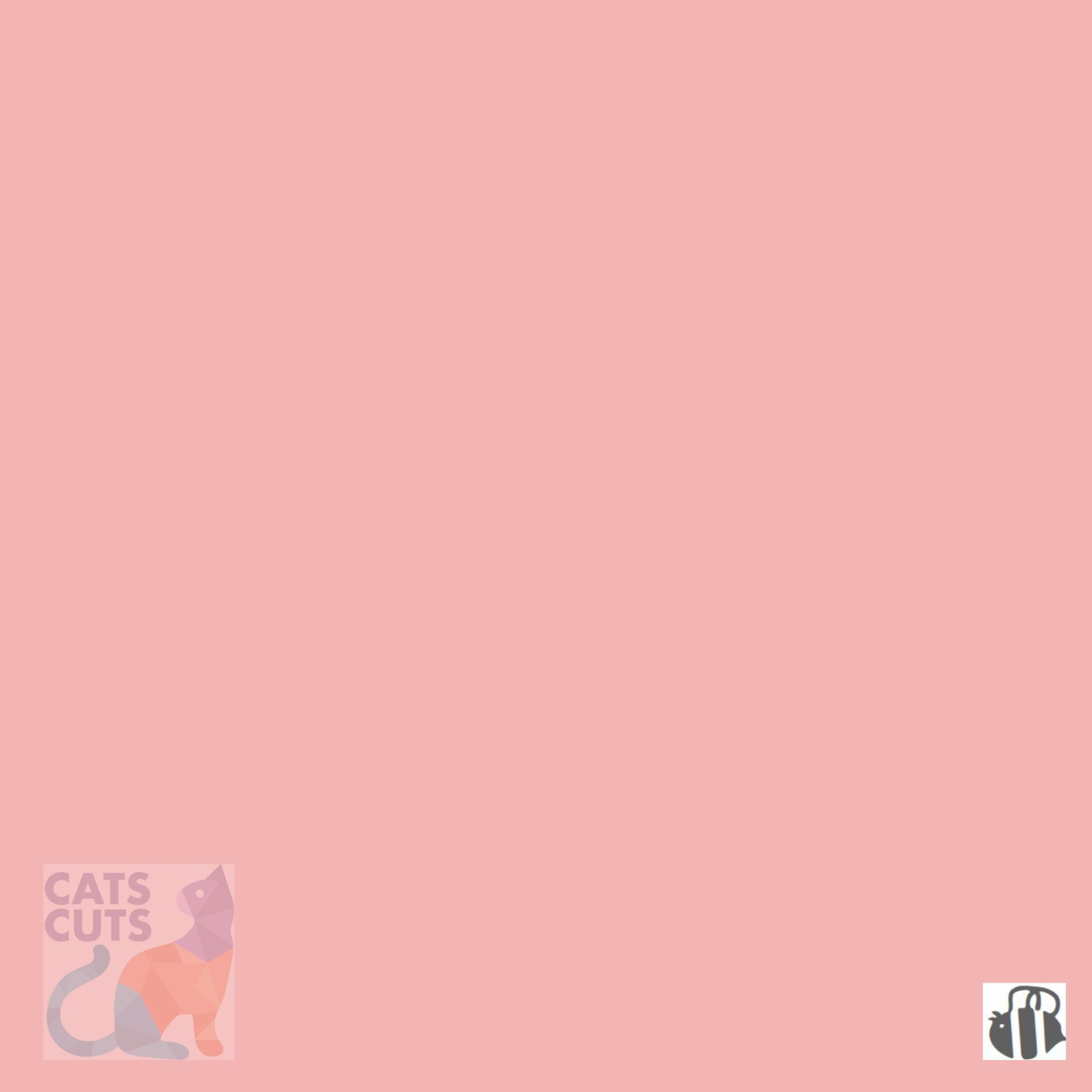 Riley Blake Confetti Cottons SKU: C120-PRETTYINPINK