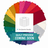 2027 Riley Blake Designs Block Challenge Quilt Kit | Weekly Sew Along
