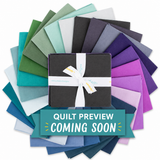 2027 Riley Blake Designs Block Challenge Quilt Kit | Weekly Sew Along