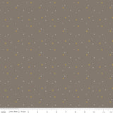 Sparkler by Melissa Mortenson for Riley Blake Designs SKU SC650-PEBBLE