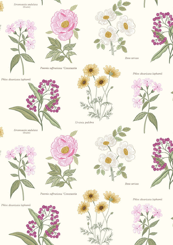 Lewis & Irene Botanic Garden--Botanic Flowers on Cream