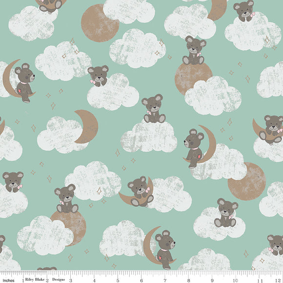 Sleep Tight by Gabrielle Neil Design Studio for Riley Blake Designs, Main--Mint With Champagne Sparkle